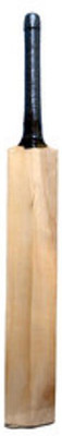 

W SIGNATURE Blast Poplar Willow Cricket Bat(, .900 kg