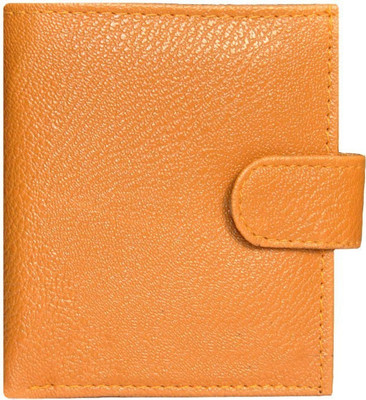 

Hide & Sleek 15 Card Holder(Set of 1, Tan)