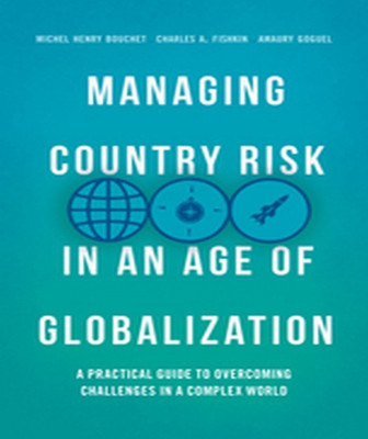 Managing Country Risk in an Age of Globalization(English, Hardcover, Bouchet Michel Henry)