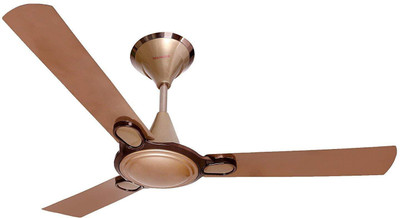 

Eurolex Elena 3 Blade Ceiling Fan(Briken gold, Pack of 1)