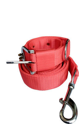 SAWAY Standard & Perfect for Daily Training Walking Running Dog Collar & Leash Dog Collar & Leash(, red