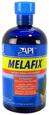

API Internal Anti-fungal Medication Liquid(473 ml)