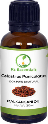 Ks Essentials 100% Pure Malkangani Oil (Celastrus Paniculatus) Natural Cold Pressed (30ml)(30 ml)