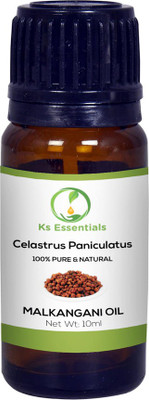 

Ks Essentials 100% Pure Malkangani Oil (Celastrus Paniculatus) Natural Cold Pressed (10ml)(10 ml)