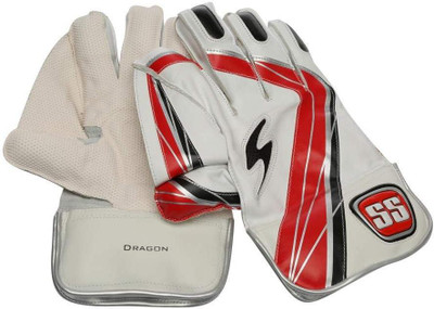 

SS Dragon Wicket Keeping Gloves (, Multicolor