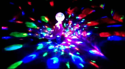

R&M Super Meng Dolphin with dreamy lighting and music creating dreamy space(Blue)