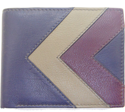 

flex boom Men Blue Genuine Leather Wallet(6 Card Slots)