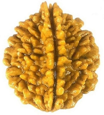 SHIVOHAM 2 Mukhi Rudraksha Lab Certified Wooden Yantra(Pack of 1)