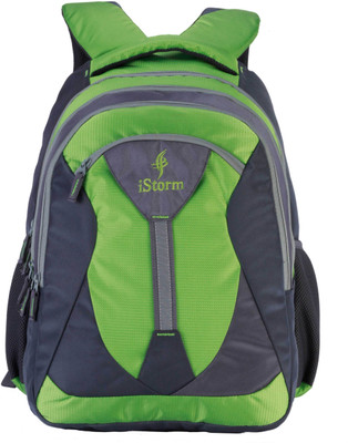 Istorm Butterfly green and grey 30 L Backpack(Green, Grey)
