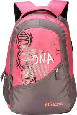

Istorm pink and grey 25 L Backpack(Pink, Grey)