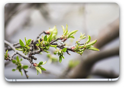 

Flipkart SmartBuy Nature Themed 659 Vinyl Laptop Skin (3M/Avery Vinyl, Matte Laminated, 14 x 9 inches) Vinyl Laptop Decal 14.1