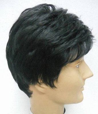 

Vivian Short Hair Wig(Men)