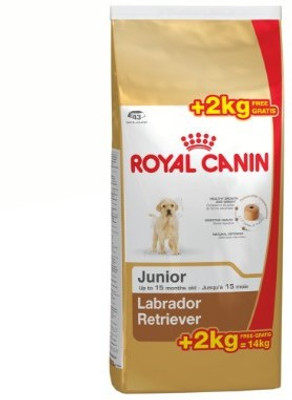 

Royal Canin Labrador Retriever 14 kg Dry Dog Food