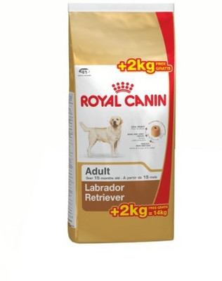 

Royal Canin Labrador Retriever 14 kg Dry Dog Food