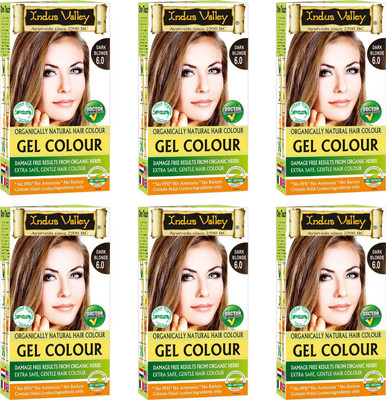 

Indus Valley Organically Natural Gel Dark Blonde 6.0 One Touch Pack (Set of 6) PPD Free Hair Color(Dark Blonde 6.0)