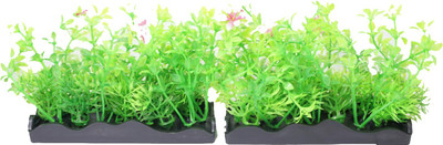 

Finegrow Laterite Planted Substrate(Multicolor)