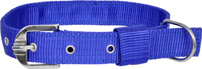 

Pride Infinite Dog Everyday Collar(, Blue