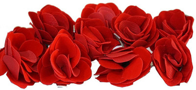 

Mydreamscometrue Fashionable Hair Clip Hair Clip(Multicolor)