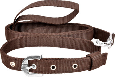 

Pride Infinite Dog Collar & Leash(, Brown