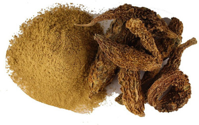 

PRAMSH Luxurious Karela Powder Pack of 500gm(500 g)