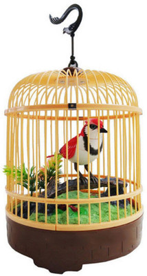 

lifestylesection BEAUTIFUL MUSICAL BIRD FOR KIDS (MULTI COLOR)(Multicolor)