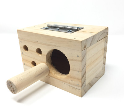 

Anokhe Collections Natural Wood Mountable Nest cum Breeding Box with Perch for Sun Conure, Pionus, Quaker Parrot, Cockatiel Birds Bird House