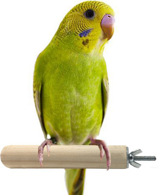 

Anokhe Collections 4 Inches / 10 cm Natural Habitat Wooden Perch / Stand / Toy for Birds (Light Weight) Wooden Stick, Training Aid For Bird
