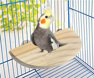 

Anokhe Collections 8.5 Inches / 21.5 cm Natural Wood Platform cum Perch cum Stand Bird Toy Ideal for Lovebird, Budgerigar, Sun Conure, Pionus, Quaker Parrot, Cockatiel, Finch, Canary, Budgeri (Light Weight) Wooden Stick, Tough Toy, Training Aid For Bird