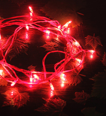 

Home Delight 130 inch Red Rice Lights(Pack of 10)