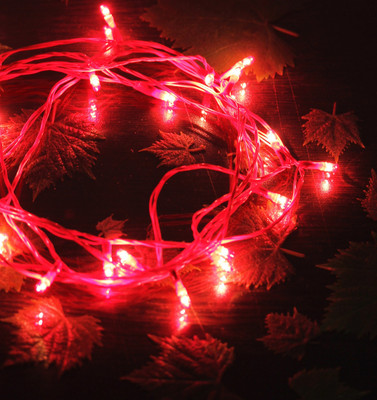 

Home Delight 130 inch Red Rice Lights(Pack of 5)