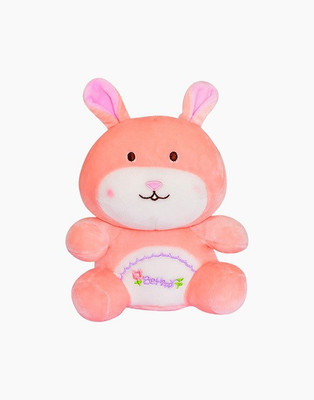 

OWO PINK Taddy Bear - 30 cm(Pink)