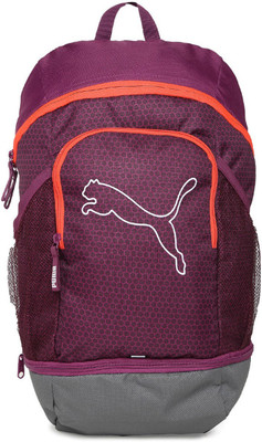 

Puma Echo 23 L Backpack(Purple, Grey)