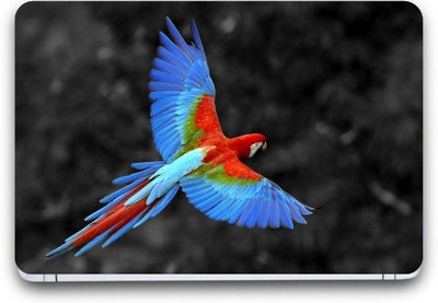 

Gallery 83 ® color parrot Exclusive High Quality Laptop Decal, laptop skin sticker 15.6 inch (15 x 10) Inch G83_skin_4067new Vinyl Laptop Decal 15.6