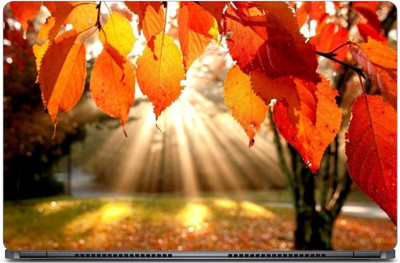 

punix Autumn Light Rays Exclusive High Quality Laptop Decal, laptop skin sticker 15.6 inch (15 x 10) Inch new Vinyl Laptop Decal 15.6