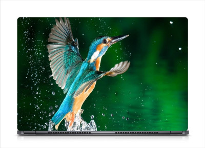 

Gallery 83 ® Birds Kingfisher Water Exclusive High Quality Laptop Decal, laptop skin sticker 15.6 inch (15 x 10) Inch G83_skin_0742new Vinyl Laptop Decal 15.6