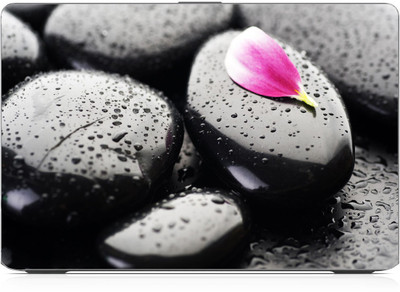 

punix pabbels stone nature Exclusive High Quality Laptop Decal, laptop skin sticker 15.6 inch (15 x 10) Inch new Vinyl Laptop Decal 15.6