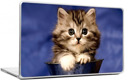 

punix Cat In A Cup Exclusive High Quality Laptop Decal, laptop skin sticker 15.6 inch (15 x 10) Inch new Vinyl Laptop Decal 15.6