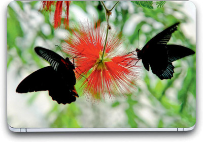 

Gallery 83 ® butterfly Exclusive High Quality Laptop Decal, laptop skin sticker 15.6 inch (15 x 10) Inch G83_skin_3434new Vinyl Laptop Decal 15.6