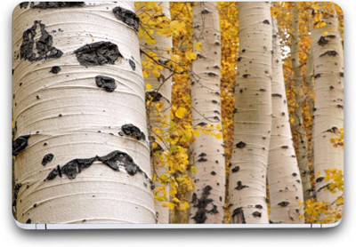 

Gallery 83 ® nature Exclusive High Quality Laptop Decal, laptop skin sticker 15.6 inch (15 x 10) Inch G83_skin_4562new Vinyl Laptop Decal 15.6