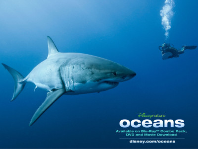 

oceans dvd , region 1`(DVD English)
