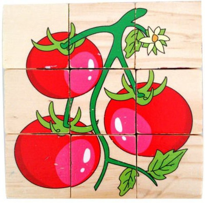 

qiaolinglong Colorful Wooden Block Picture Puzzle for Toddlers and Small Children(9 Pieces)