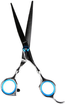 

Nerrâ¢ Stainless Steel Professional Salon Barber Hair Cutting Thinning Scissors Hairdressing Styling Tool Silver 6 Inch - Cutting Scissors Scissors(Set of 1, Silver, SKY BLUE)