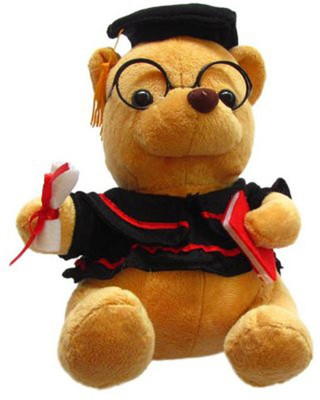 

Worthyy Enterprises Musical Scholar Teddy Soft Toy, Brown - 25 cm(Pink)