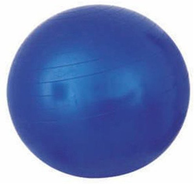 

Milestouch Exim Gym Ball Gym Ball, Blue