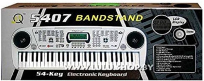 

Royal Collections Keyboard 54 Key Musical Piano With FM (Multicolor)(Multicolor)