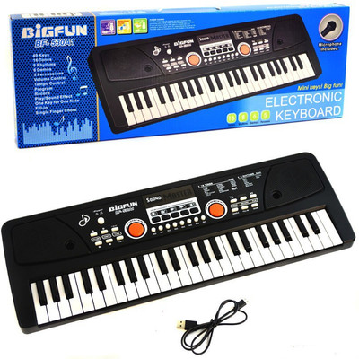 

BigFun Electronic 49 key Piano Keyboard with Microphone, Recording, MIC, USB Cables - 16 tones, 8 Rhythms, 6 Demos and 5 Percussions(Black)