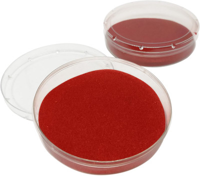 

Aumni Crafts Plastic Bracelet Bangle Packing Display Box 7.5x1.8cm Round Red (Pack of 12 pieces) Plastic Bracelet Bangle Box Vanity Box(Red)