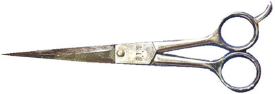

NERR iron scissor used for salon Scissors(Set of 1, Silver)