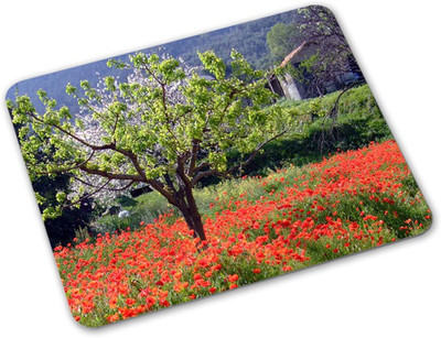 

PrintHunt PTMP-850 Mousepad(Multicolor)