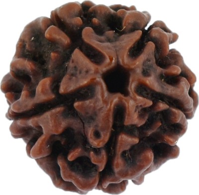 Gems Jewels Online 5 Mukhi Rudraksha Beads Wood Pendant